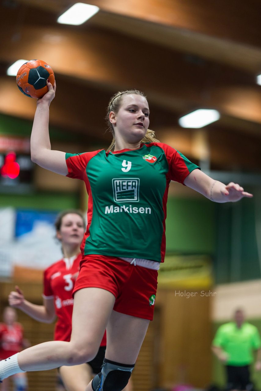 Bild 207 - Frauen HSG Krem/Muensterdorf - HG OKT 3 : Ergebnis: 33:21